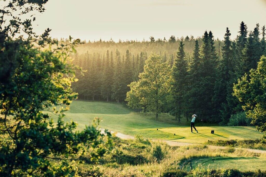 Golfeur réalisant un swing sur un parcours entouré d’arbres et de verdure.